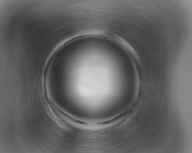 X0000083601332200702091210