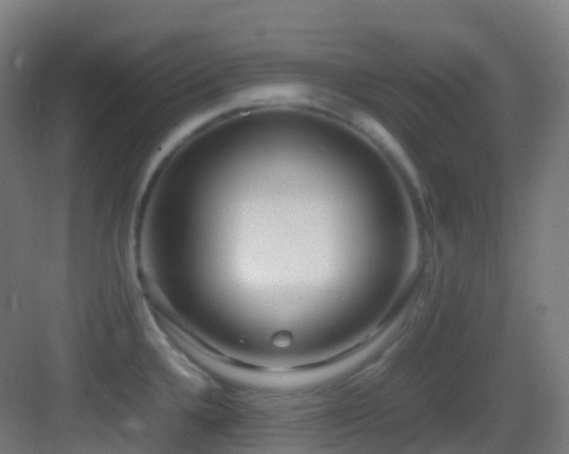 X0000083601336200702091210