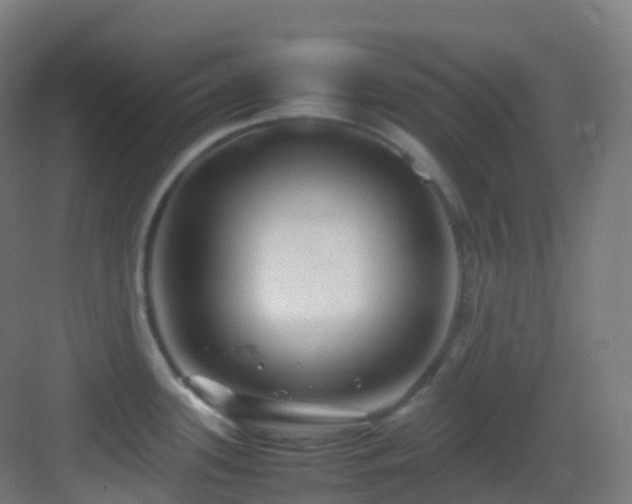 X0000083601339200702091210
