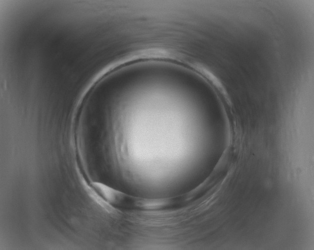 X0000083601342200702091210