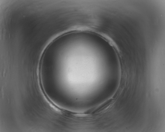X0000083601343200702091210