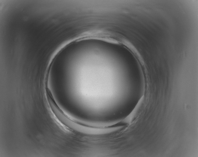 X0000083601344200702091210