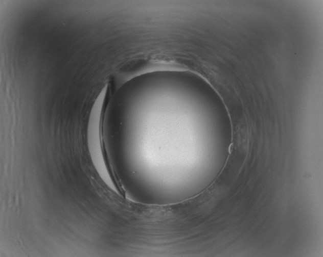 X0000083601346200702091209