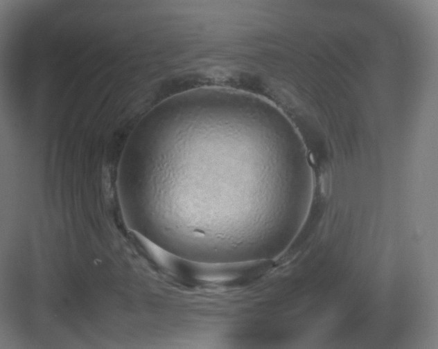 X0000083601347200702091209