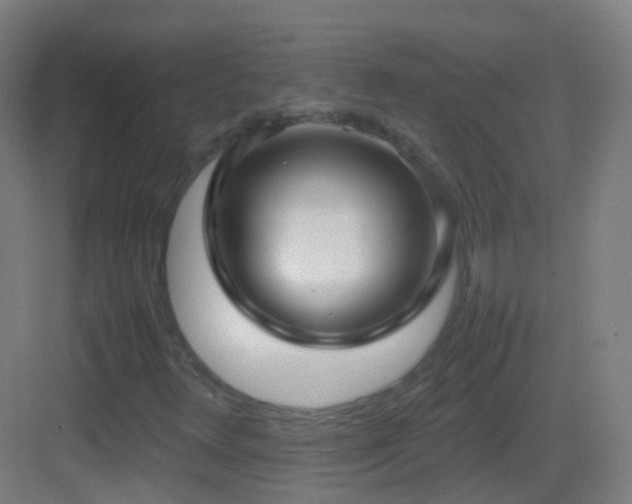 X0000083601348200702091209