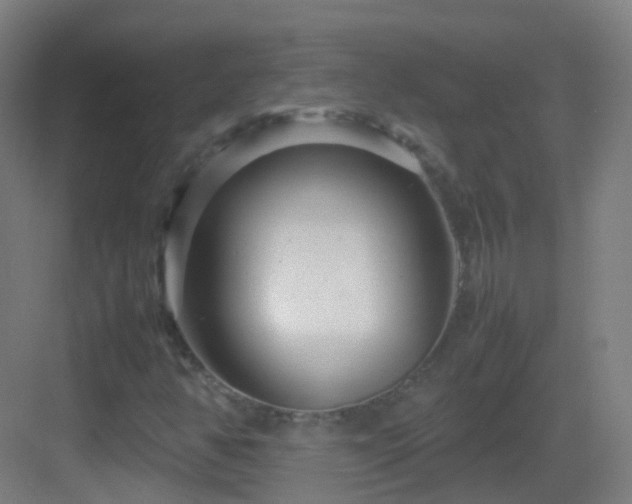 X0000083601350200702091209