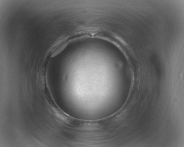 X0000083601354200702091209