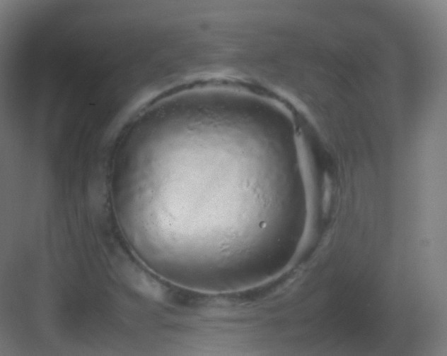 X0000083601359200702091209