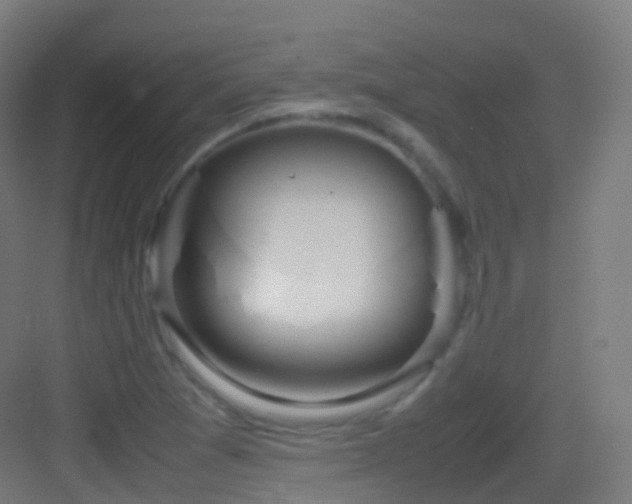 X0000083601361200702091209