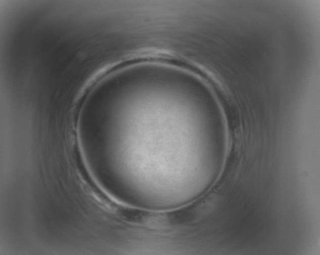 X0000083601363200702091209