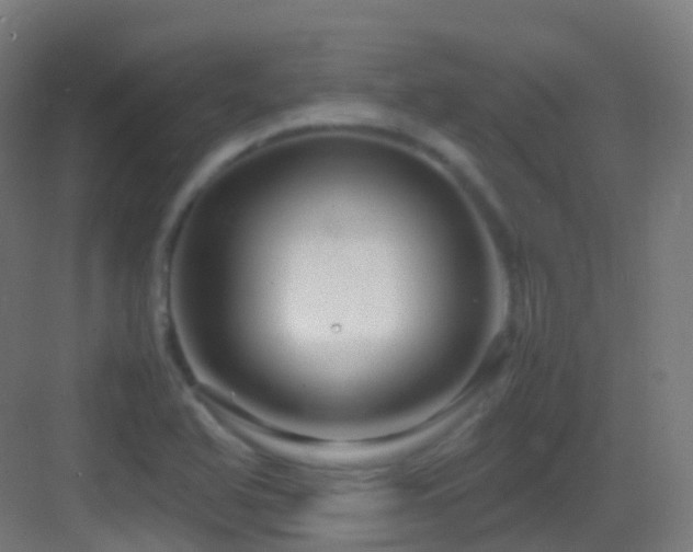 X0000083601366200702091209