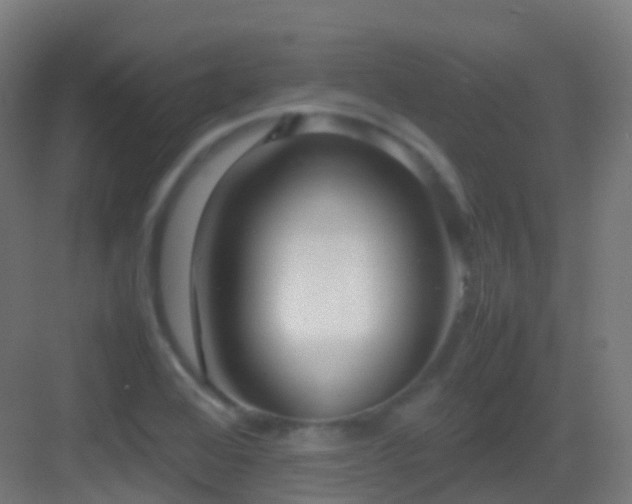 X0000083601368200702091209