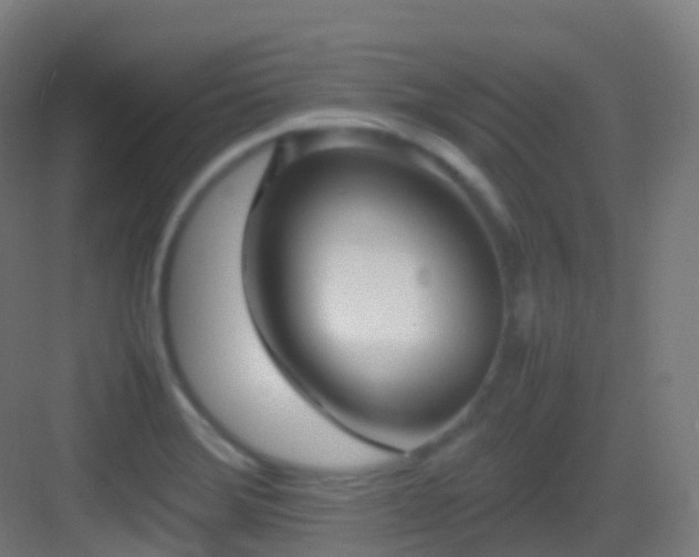 X0000083601372200702091209