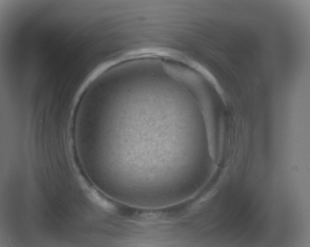 X0000083601373200702091209