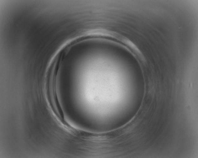 X0000083601376200702091209