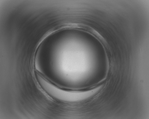 X0000083601378200702091208