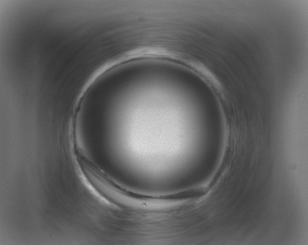 X0000083601382200702091208