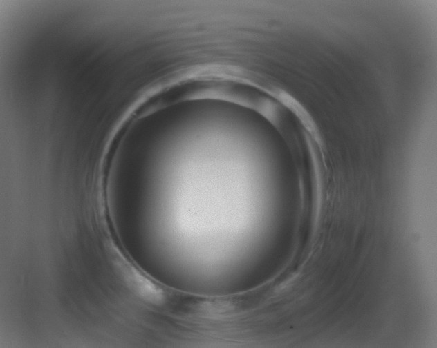 X0000083601384200702091208