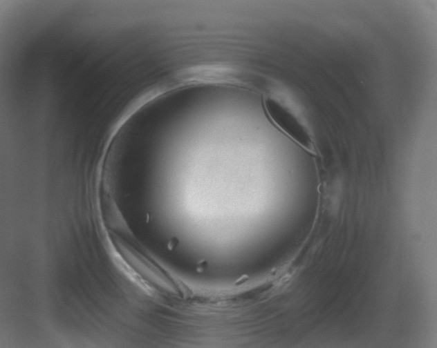 X0000083601386200702091208