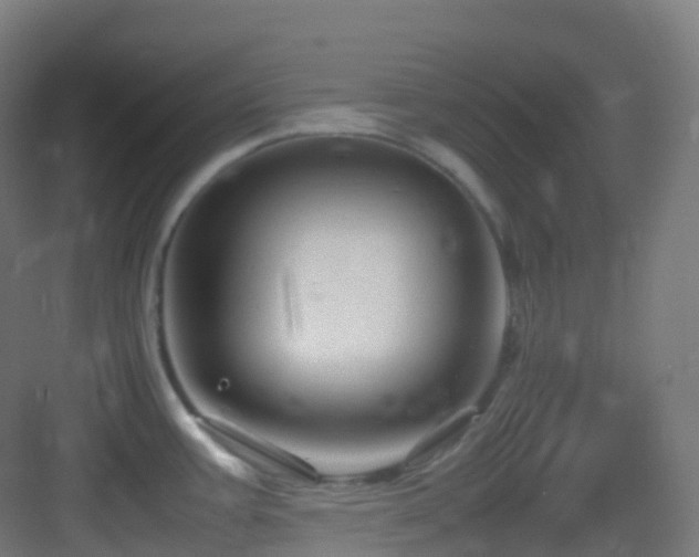 X0000083601387200702091208