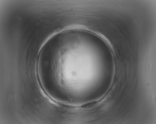 X0000083601390200702091208