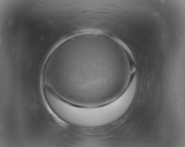 X0000083601391200702091208