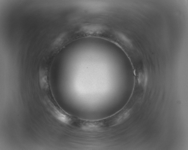 X0000083601396200702091207