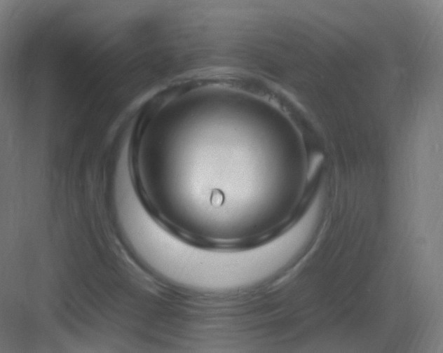 X0000083601402200702091207