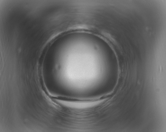 X0000083601404200702091207