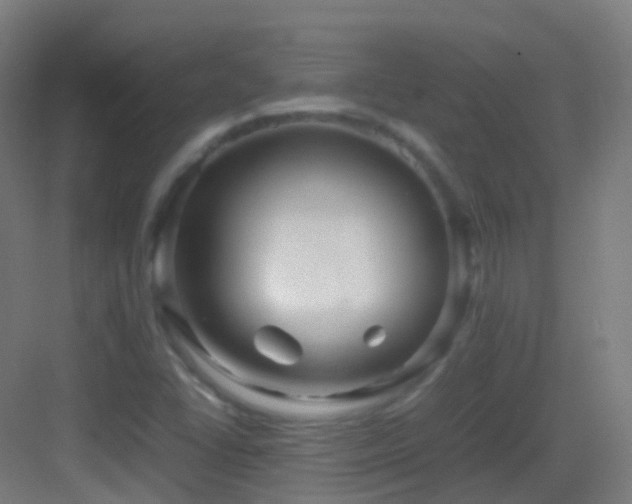 X0000083601406200702091208