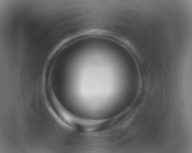 X0000083601422200702091208