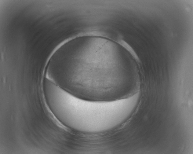 X0000083601436200702091208