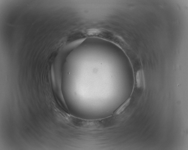 X0000083601443200702091207