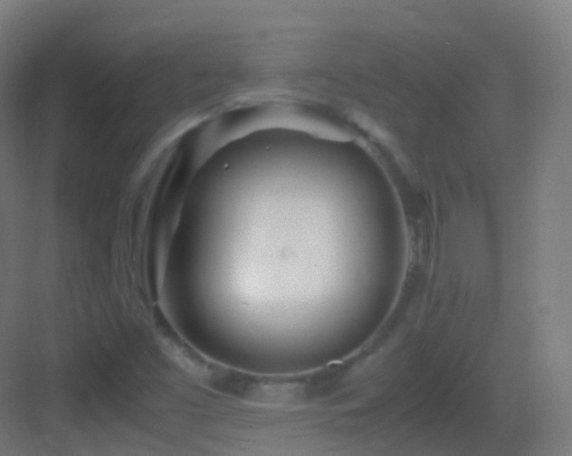 X0000083601453200702091207