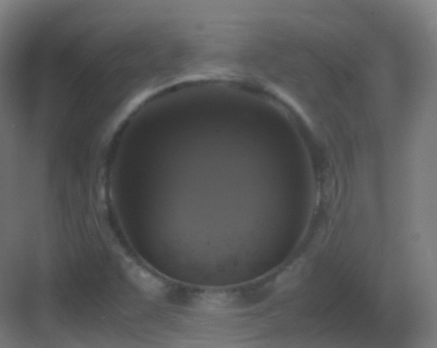 X0000083601455200702091207
