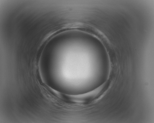 X0000083601457200702091207