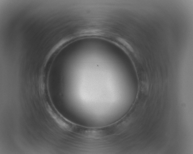 X0000083601458200702091207
