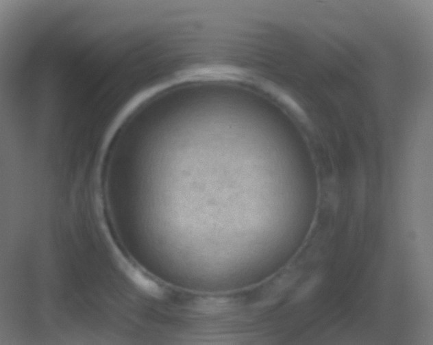 X0000083601470200702091207