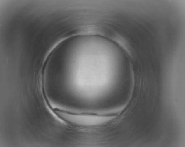 X0000083601476200702091207