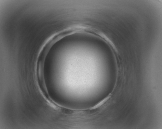 X0000083601477200702091207