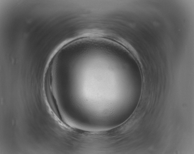 X0000083601488200702091206