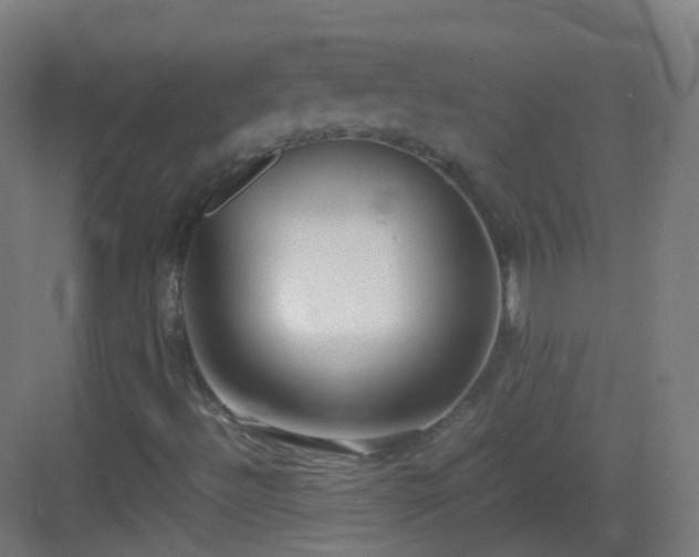 X0000083601492200702091206
