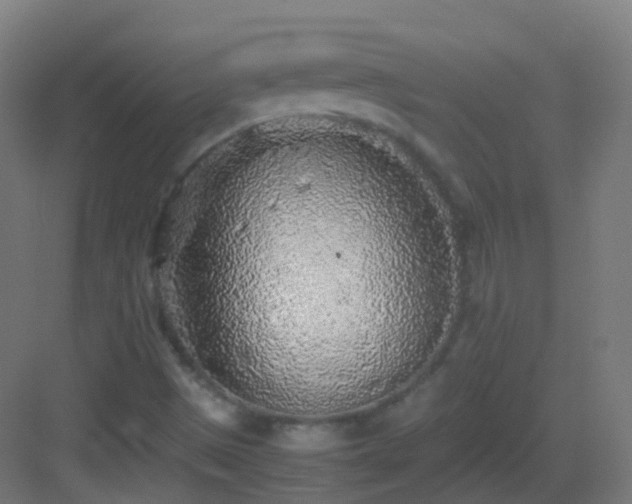 X0000083601497200702091206
