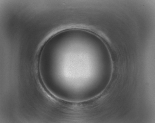 X0000083601504200702091206
