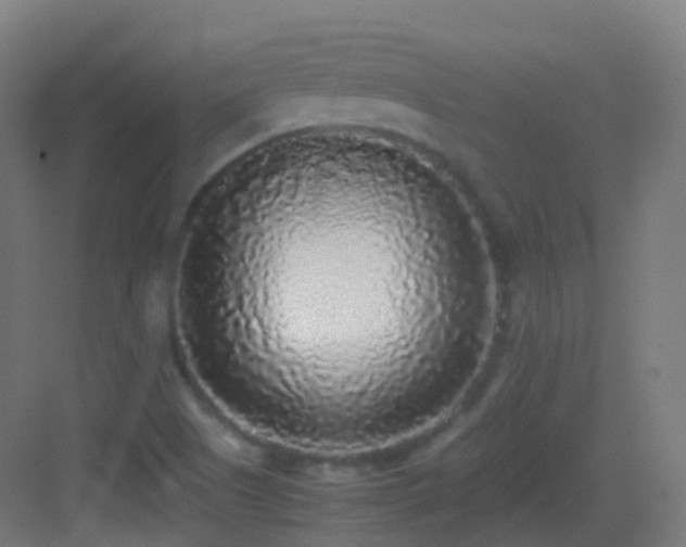 X0000083601505200702091206