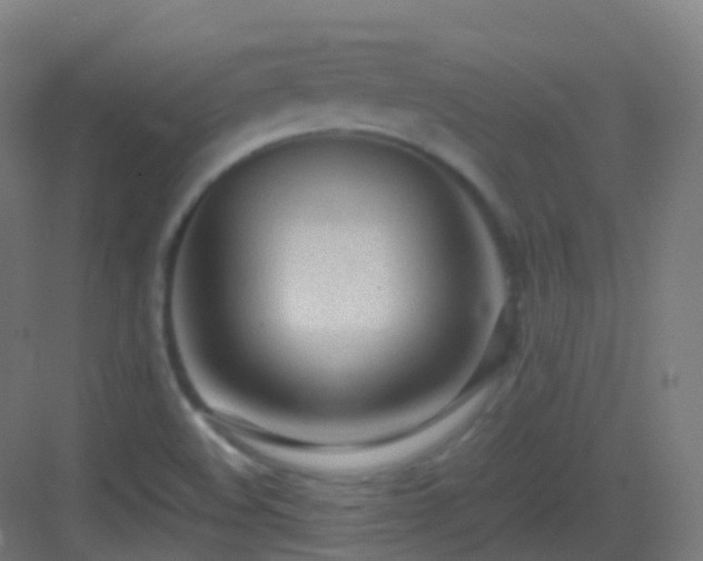 X0000083601508200702091206