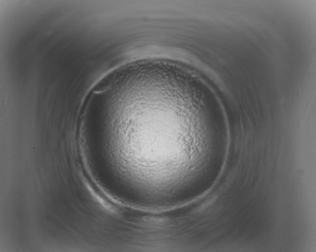 X0000083601513200702091206
