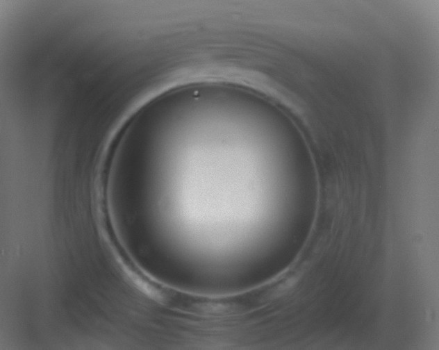 X0000083601517200702091206