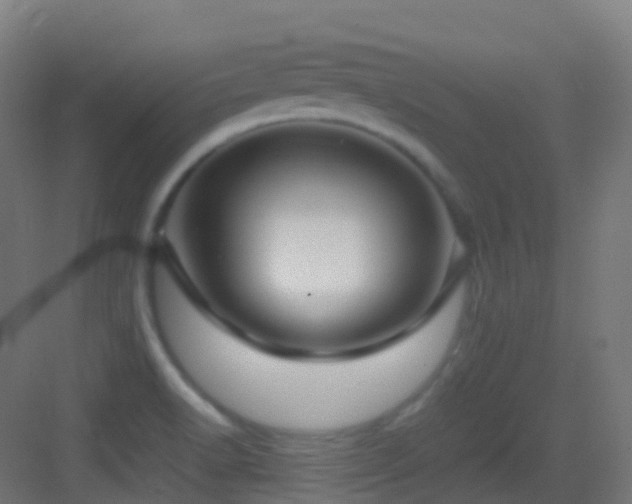 X0000083601518200702091206