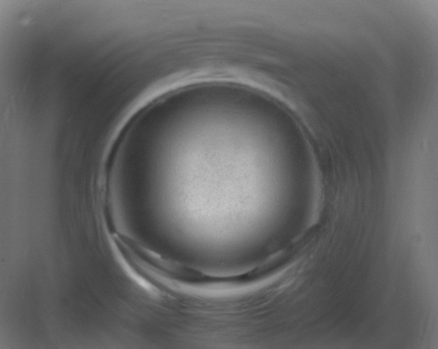 X0000083601519200702091206